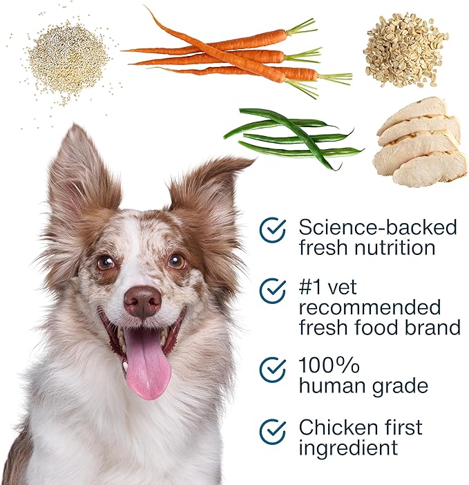 JustFoodForDogs JustFresh Boosts Sensitive Skin Dog Food Topper with Vitamin C, Vitamin E, Algae Oil, Omega-3 Fatty Acids, 8 oz Pouches - 8 Pack