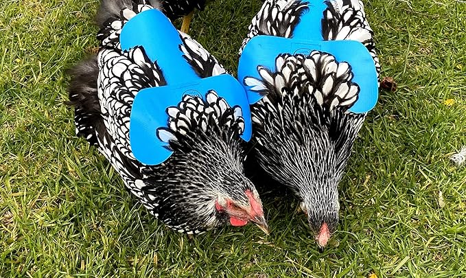 DOWN UNDER OUTDOORS 4 Pack Very Very Small PVC Chicken Saddles, Bantams, Young Birds
