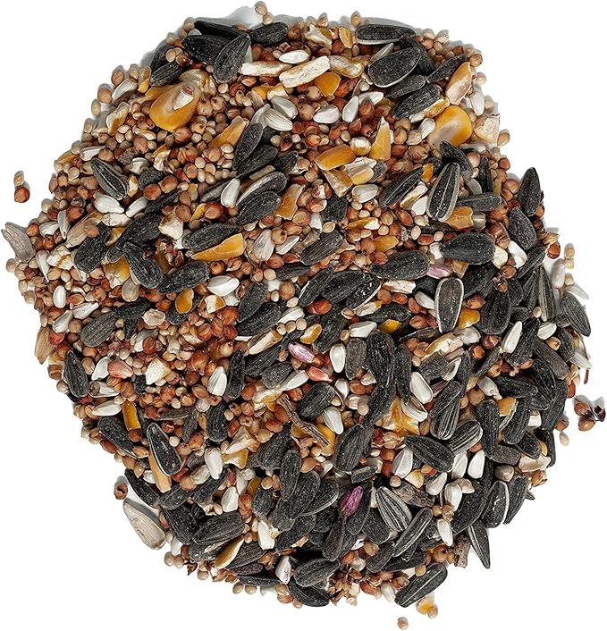 Wagner's 62034 Greatest Variety Blend Wild Bird Food, 6-Pound Bag & 62067 Deluxe Treat Blend Wild Bird Food, 4-Pound Bag