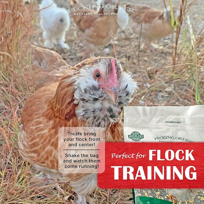 Pecking Order 9328 Mealworm & Sunflower Treat, 3 lb. (Pack of 2)