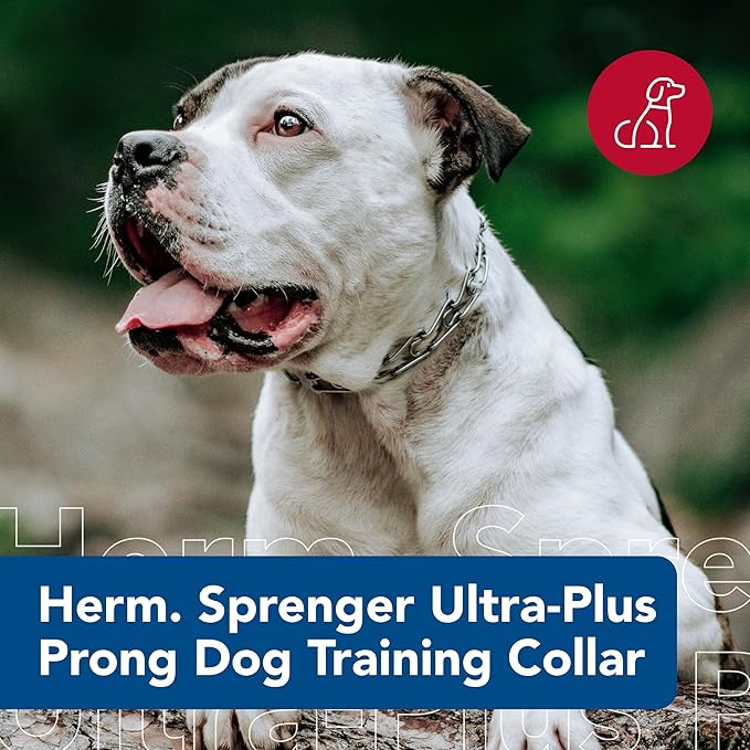 Herm SPRENGER Ultra-Plus Prong Dog Training Collar, 4 mm x 21" Neck Size, 4 mm x 25" Chain Length, Steel Chrome Plated Dog Prong Collar, Pinch Collar for Dogs, Dog Correction Collar