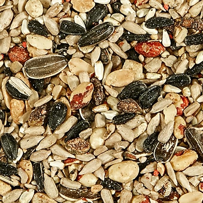 Kaytee Gourmet Bird Bar, 12-Ounce