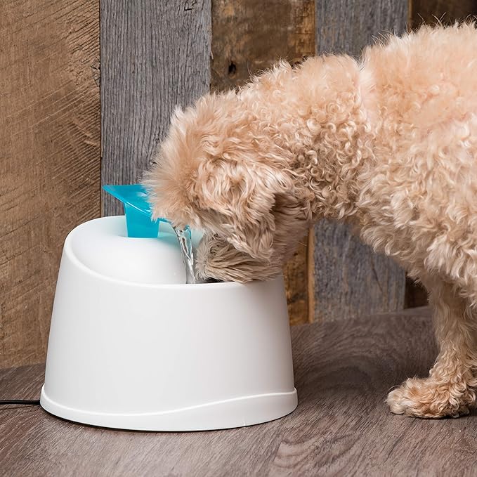 IRIS USA Cat Water Fountain, 44oz / 1.3L, Kitty Spout, Dog Fountain Water Bowl, Silent and Replaceable Charcoal Filter, White/Blue