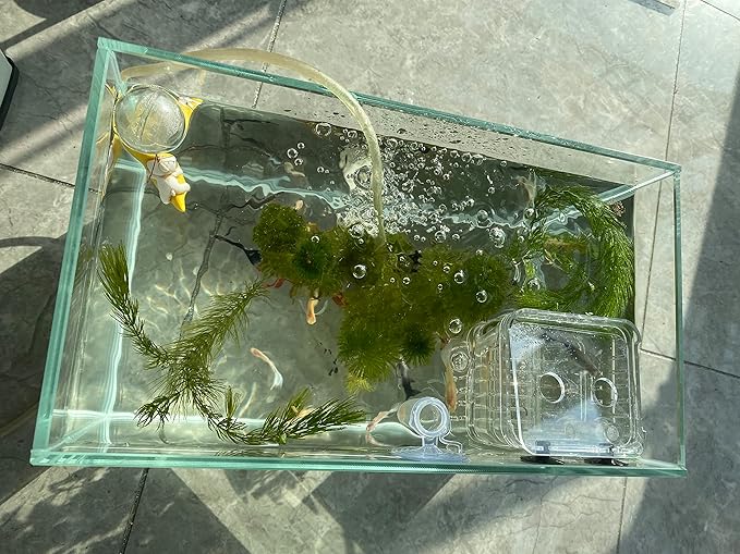Small Nano Tall Rimless Tank, Glass Fish Tank, Betta Fish Tank, Aquarium (2.85 Gal, 11.8x6.7x7.8 inch)