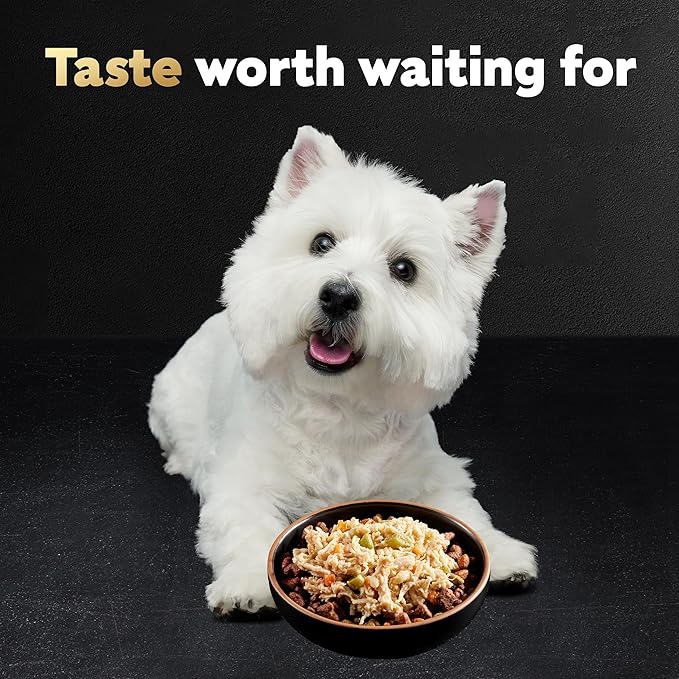 Cesar Wholesome Bowls Adult Wet Dog Food, Chicken, Carrots, Barley & Green Beans Recipe, Wet Food for Dogs, 3 Oz. Bowls, 10 Count