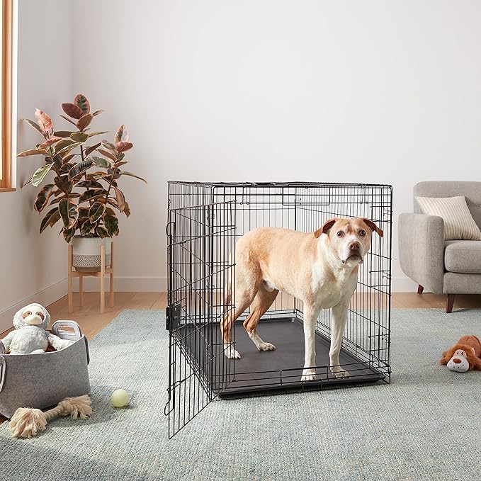 Amazon Basics Durable, Foldable Metal Wire Dog Crate with Tray, Single Door, 48 x 30 x 32.5 in, Black