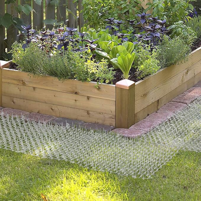 Tapix Cat Scat Mat Clear (8 ft.) with 6 Staples, Anti-cat Network with Spikes Digging Stopper - Cat Deterrent Mat for Indoor and Outdoor