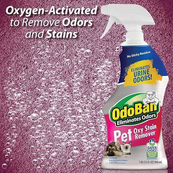 OdoBan Pet Solutions Oxy Stain Remover, Pet Stain Eliminator, Made in the USA, 8-Pack, 32 Ounce Spray Each