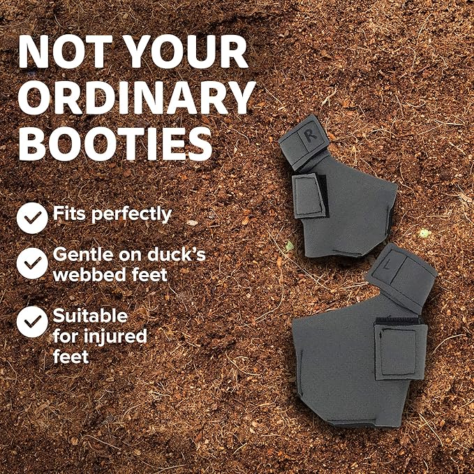 Duck Shoes for Injured Feet – Protective Neoprene Footwear for Ducks, Protective Shoes for Birds with Injured feet, Bumblefoot Relief - Small, 2.5’’ Max. Inside Width - Gray