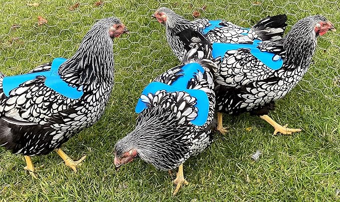 DOWN UNDER OUTDOORS 4 Pack Very Very Small PVC Chicken Saddles, Bantams, Young Birds