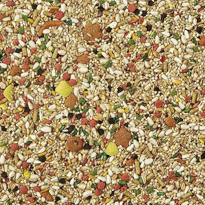 Kaytee Forti-Diet Pro Health Cockatiel Pet Bird Food with Safflower, 4 Pound (Pack of 2)