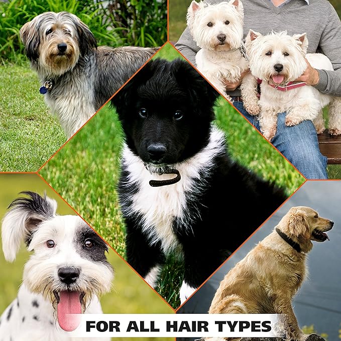 Wahl USA Deodorizing & Refreshing Pet Deodorant for Dogs - Eucalyptus & Spearmint Scent to Refresh the Skin and Coat - Model 820011A,(Pack of 6)