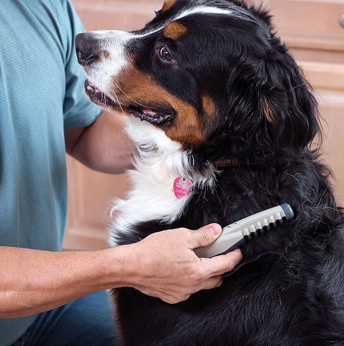 Allstar HI KN124 Knot Out Electric Pet Grooming Comb, Black/Grey