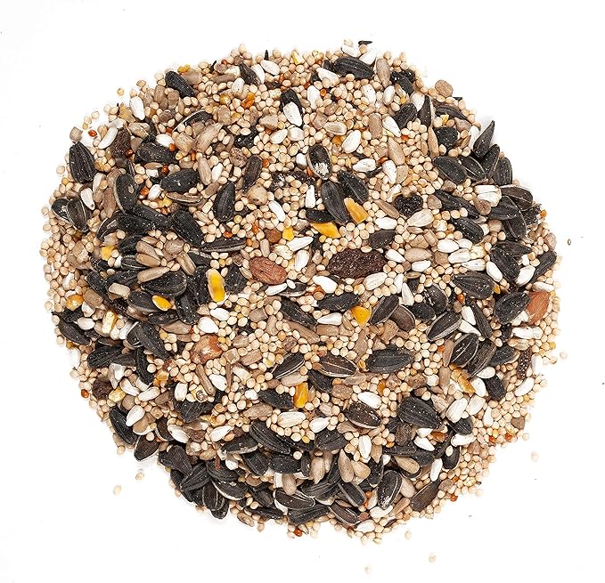 Wagner's 62034 Greatest Variety Blend Wild Bird Food, 6-Pound Bag & 62067 Deluxe Treat Blend Wild Bird Food, 4-Pound Bag