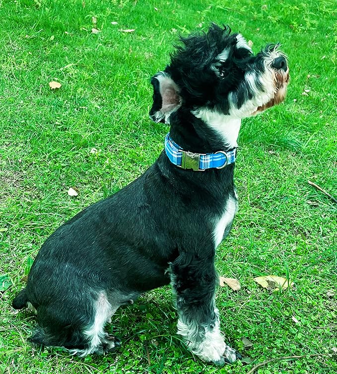 Unique style paws Dog Collar Metal Buckle Blue Plaid Collar Gift Durable Cute Collar for Small Medium Large Boys Girls Dogs