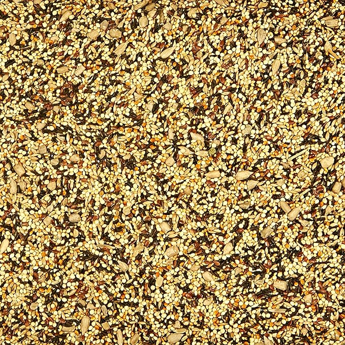 Kaytee Wild Finch Bird Food Stand Up Bag, 5 Pounds