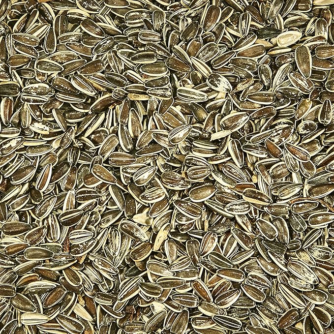 Kaytee Striped Sunflower, 5-Pound