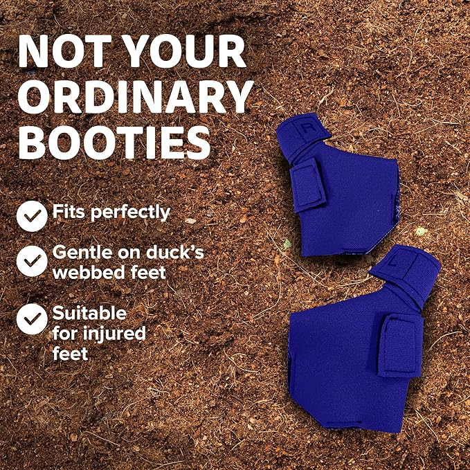 Duck Shoes for Injured Feet – Protective Neoprene Footwear for Ducks, Protective Shoes for Birds with Injured feet, Bumblefoot Relief - Medium, 3.5” Max. Inside Width - Royal Blue