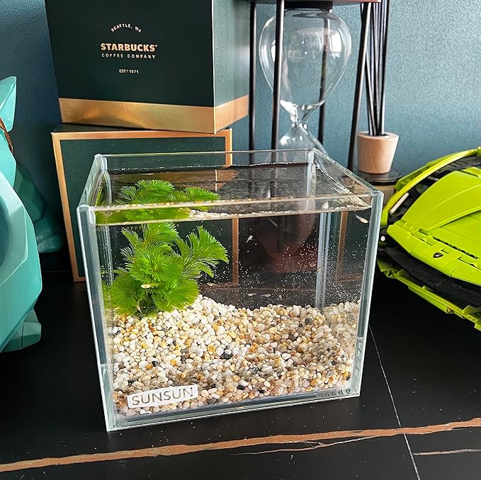 Small Nano Tall Rimless Tank, Glass Fish Tank, Betta Tank (0.7 Gallon, 5.9x4.3x5.1in/15x11x13cm)
