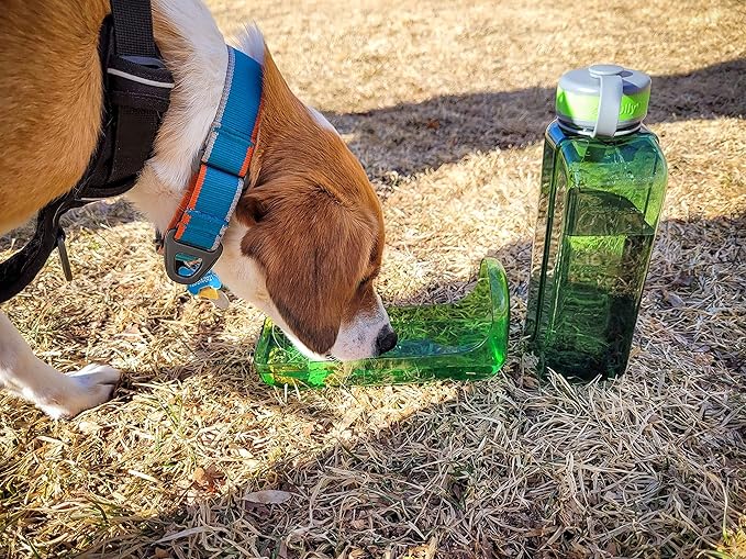OllyDog OllyBottle | Tritan Dog Water Bottle with Detachable Bowl | BPA Free Leakproof Pet Dispenser | Hiking Travel (1L, Grass)