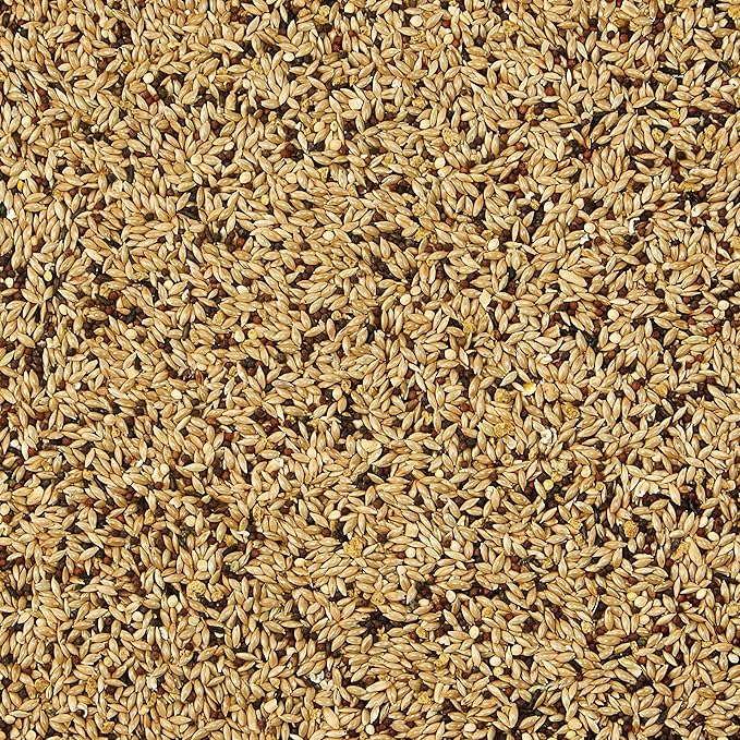 Kaytee Supreme Pet Canary & Finch Food, 20 lb