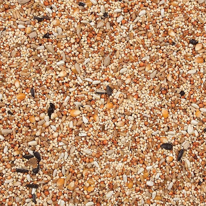 Wild Delight Dove & Quail Food, 20 lb