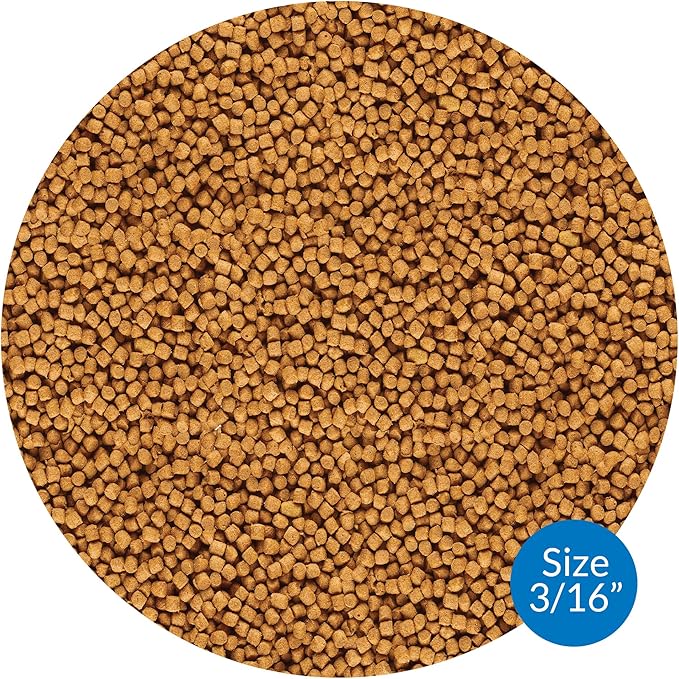 API POND COOL WATER FOOD Pond Fish Food 1.40-Pound Bag