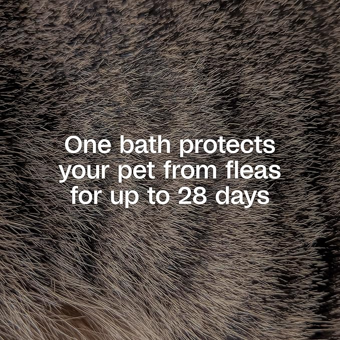 ADAMS Plus Flea & Tick Shampoo with Precor for Dogs, Cats, Puppies & Kittens, Flea Shampoo to Treat Flea Infestations, Kills Ticks, Fleas, Flea Eggs & Lice, Cleans and Conditions Coat, 12 Ounces
